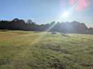 Beautiful large field to camp in :)
