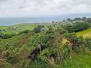 View from the slope towards the llyn peninsula