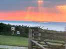 Watching the sunset