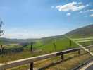 Views