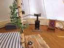 Cosy interior