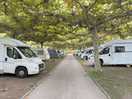 Wonderful canopy giving picturesque shade