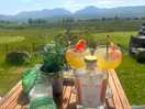 Gin o clock