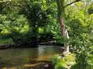 The near by river