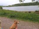 Looking out at the lake.