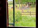 View from the caravan