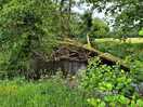 Lush greenery and path to river.