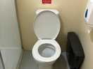 Toilet in cubicle