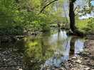 River next to camping pitches