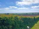Stunning views