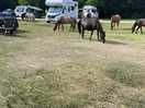 Ashurst camp site