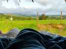 Morning view