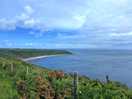 National trust costal path walk