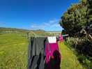 Washing line