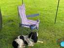 Ted dog