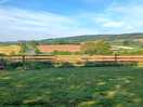 View frim the camping