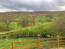 View from the shepherds hut