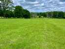 Lovely for walking the dog