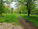 Escape to nature, accessible from a peaceful well kept site
