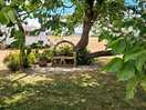 Top tree...best shady spot