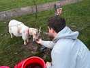 Feeding
