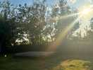 Amazing place