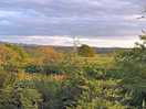 Views from the site