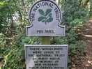 Pin mill