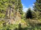 Walk along pennine way