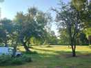Secluded non electric site, in woodland area.