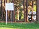 You can also drive near your tend between forest where we stay...