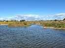 Wild swimming