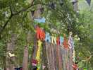 Woodland stage