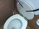 Schlecht gelöste toilette