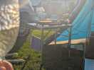 Tent with a view