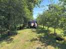Our camping pitch amongst the orchard