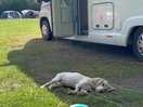 Enjoying a peaceful afternoon on site