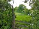 Public footpaths