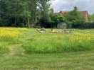 Nature cared for with tidy mown paths