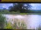 Fishing lake