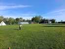 The football /playing field