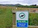 Dog field