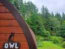 Owl theme