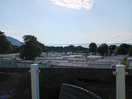 View from bar
