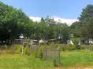 Pitches with clearly defined boundary fences & shrubs