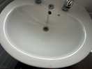 Dead flies and grime in the sink, clearly no daily cleaning