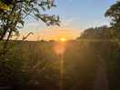 Woodland walk to oxwich bay takes 15mins