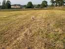 Camping field