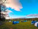 Camping field / morning view