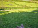 Beautiful sunshine, relaxing watching the highland cows in the next field.
